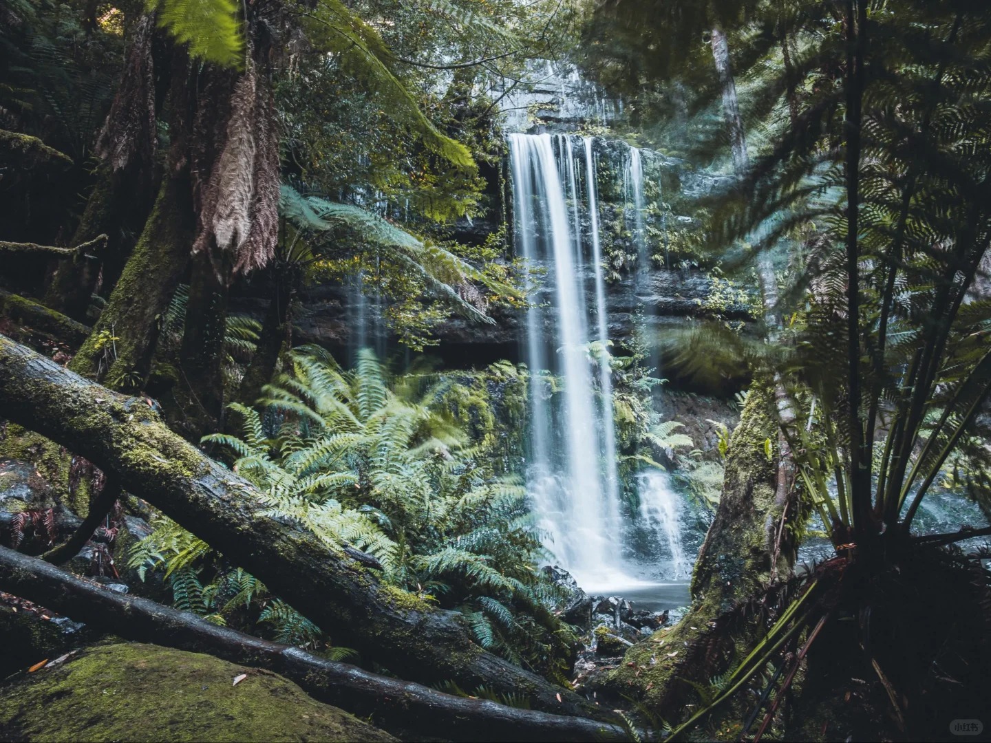 探索塔斯马尼亚_费尔德山国家公园_1_Hello_Tasmania_来自小红书网页版