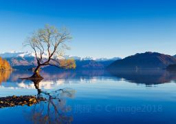 travel picture
