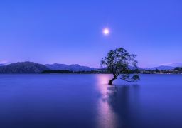travel picture