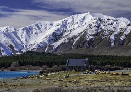 travel picture
