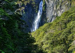 travel picture
