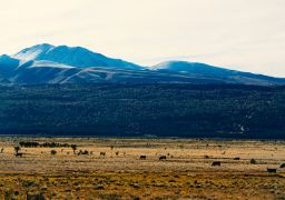 travel picture