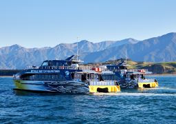 travel picture